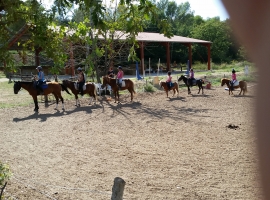 Ponyhof à 5 min Lorgues