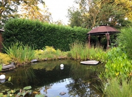 Foto 16