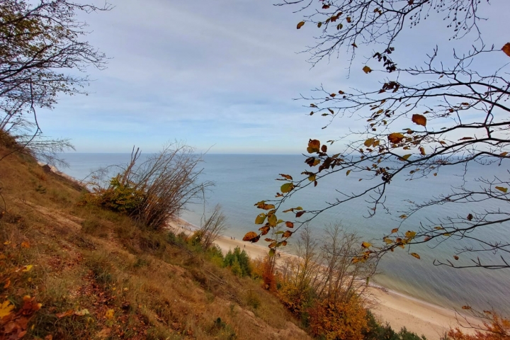 Strand