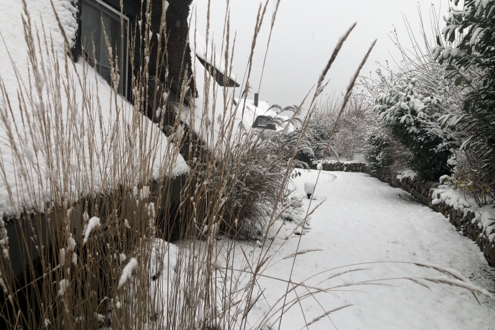 Winter 2022