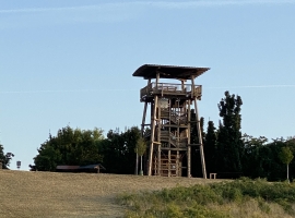 Foto 22