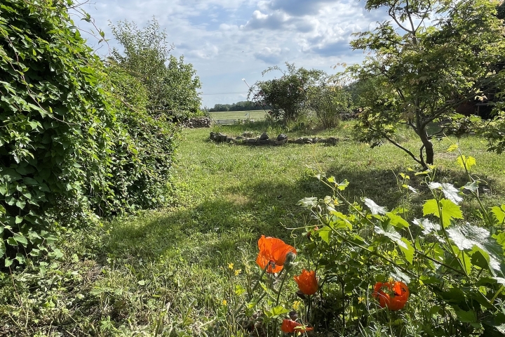 Viel Platz zum Spielen und Realaxen