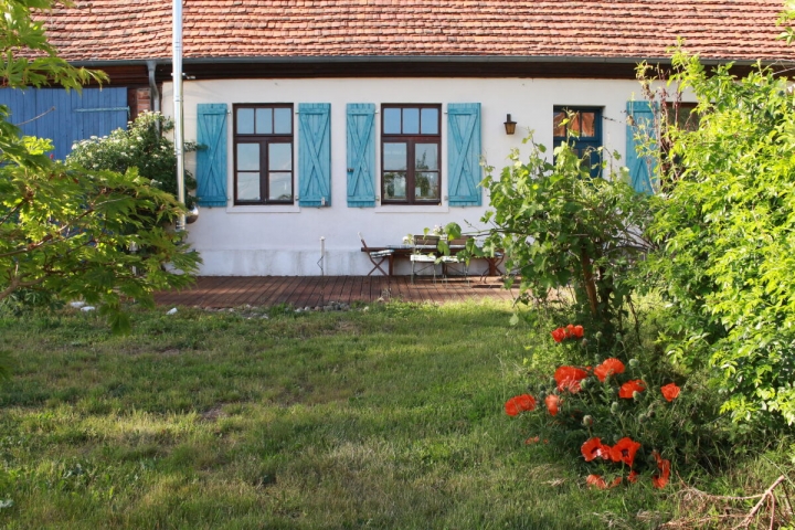 Blühender Garten