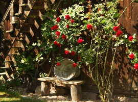 Foto 9