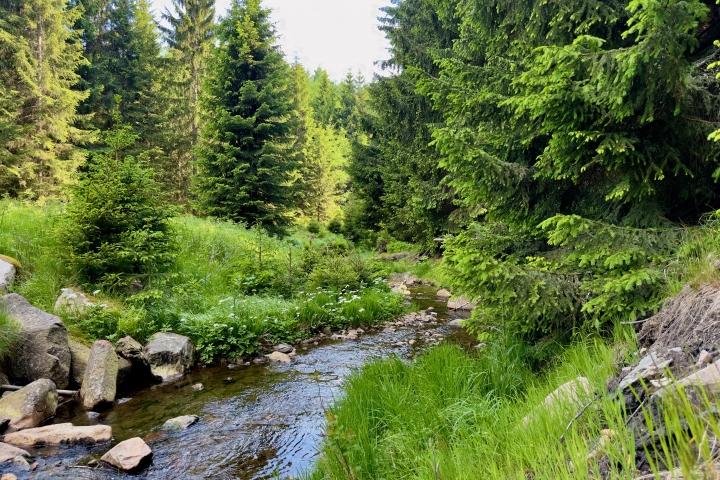 Umgebung