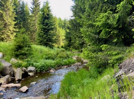 Umgebung