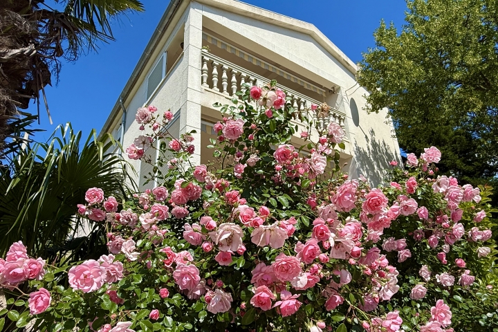 Villa Theresa im Rosenhain