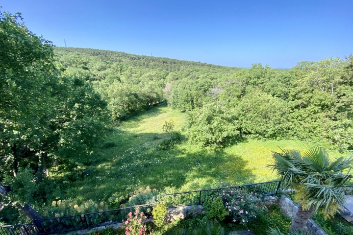 Aussicht vom Balkon