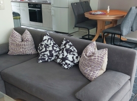 Wohnzimmer mit Küchenzeile und Essecke