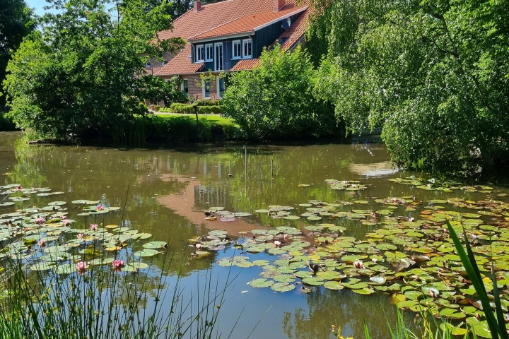 1000 qm Natursee lädt zum Angeln ein