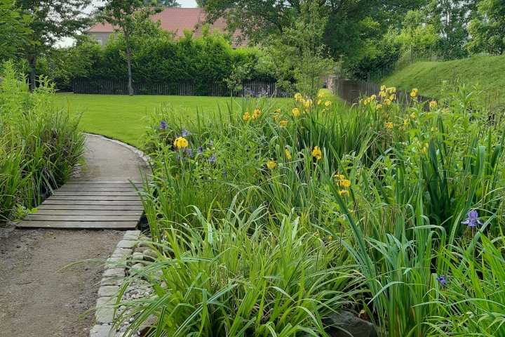 Kleiner Steg beim Filterteich