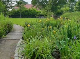 Kleiner Steg beim Filterteich