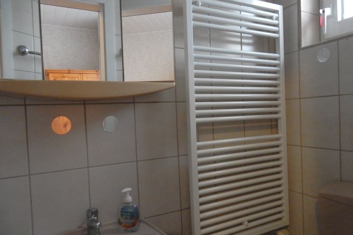 Badezimmer, WC, Dusche und Waschbecken