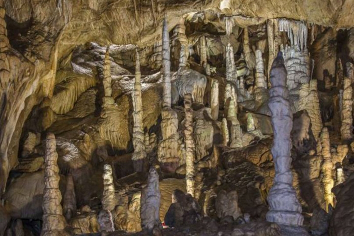 die Baumannshöhle in Rübeland
