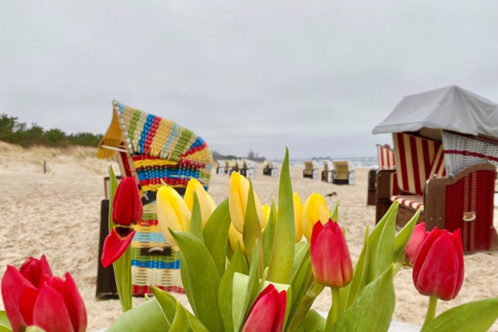 Der Strand im Frühling
