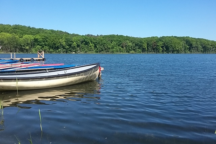 Rudern am Wolgastsee
