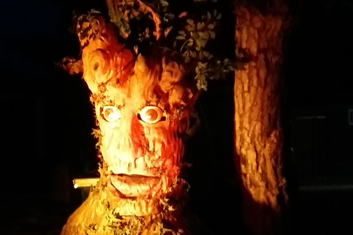 Der Märchenbaum in Heringsdorf