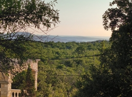 Ausblick von der Terrasse 