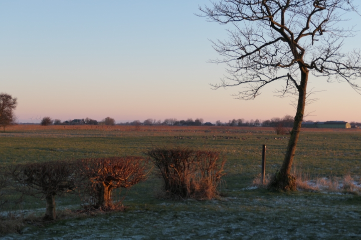 Marsch im Winter