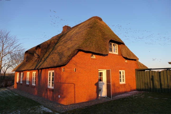 Haus vom Garten