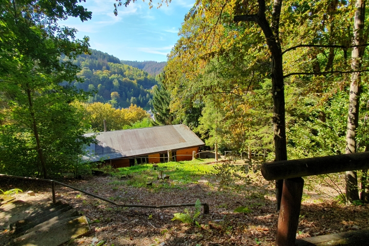 Farnberghütte 2   
... goldener Herbst,  goldene Blätter...