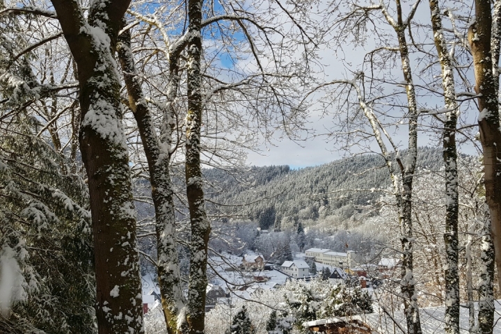 Winterblick von der Hütte