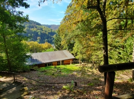 Farnberghütte 2   
... goldener Herbst,  goldene Blätter...
