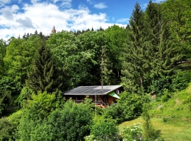 ... am Waldrand oberhalb vom Dorf Unterweißbach