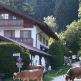 Ferienwohnungen vor Zugspitze und Karwendel