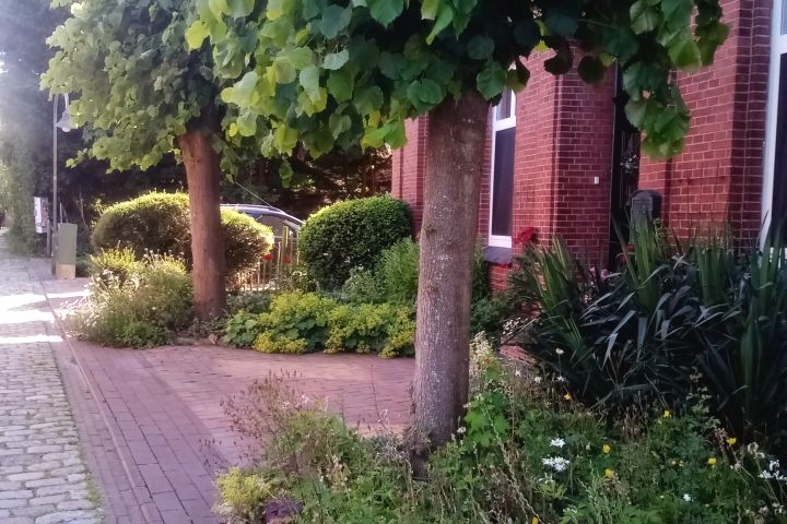 Ferienwohnungen Estelita | Vorgarten und Eingangsbereich Gulfhof Estelita der Loogstraat