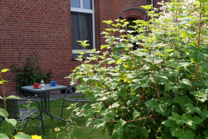 Sitzplätze für Gäste im Garten