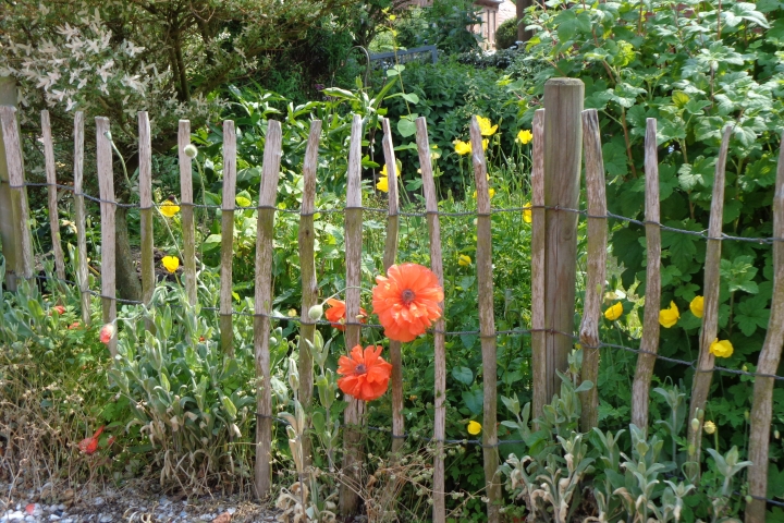 Bauerngarten