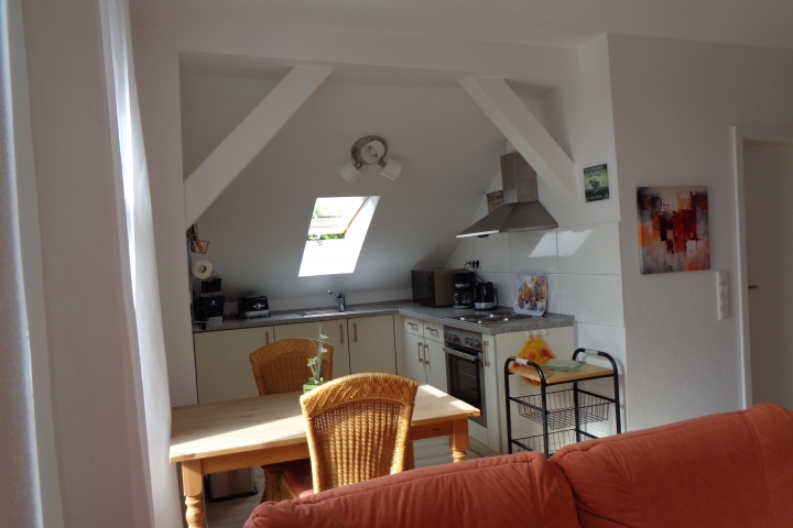 Blick in den Küchenbereich im Wohnraum