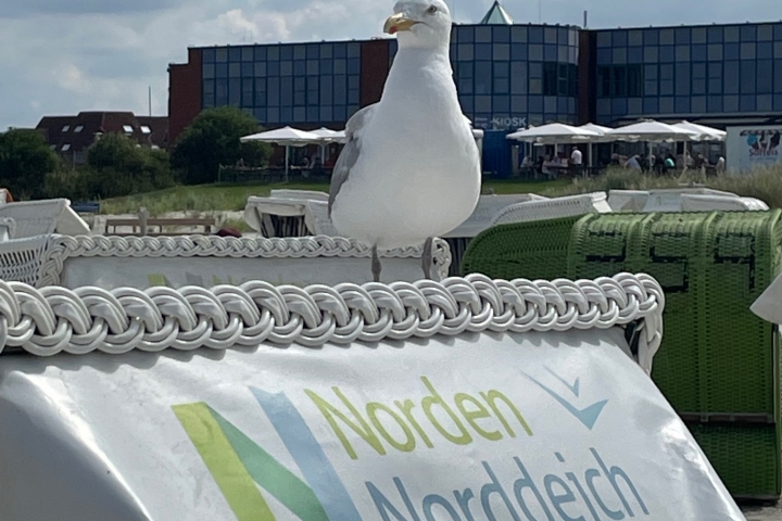 Ferienwohnung Strandperle - Strand 150m Innen 2