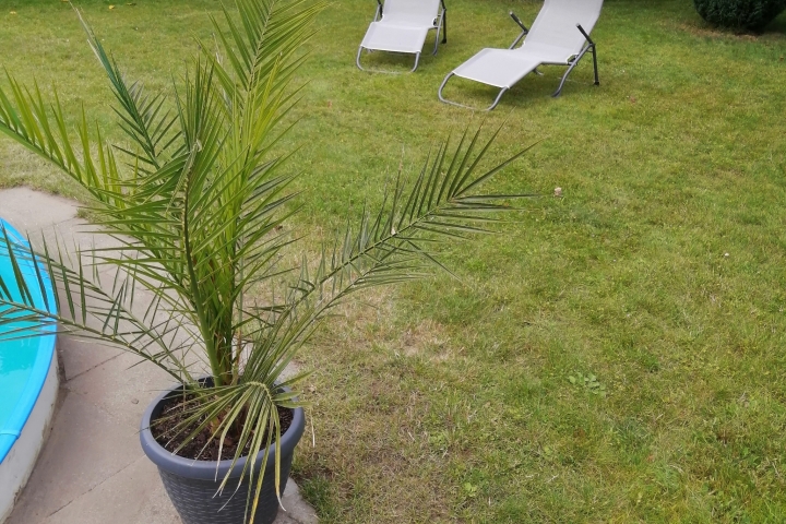 Garten.