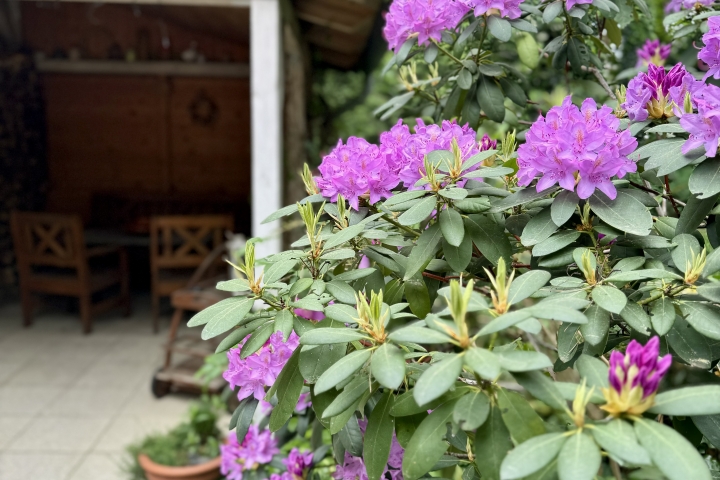 Terrasse im Frühling