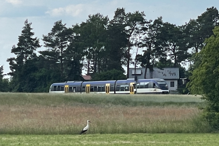 Die Heidekrautbahn mit Storch