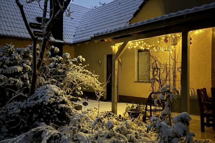 Weihnachtlich im Waldgarten