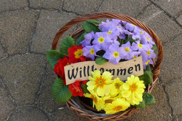 Willkommen