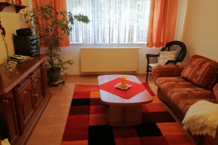 Stube mit Schlafsofa, Fernseher, Radio und mehr