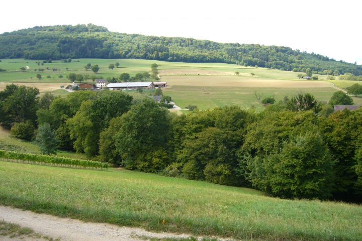 Umgebung - 10 Minuten Fussweg