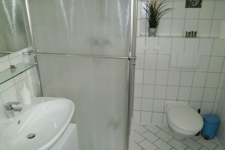 EG Bad mit Dusche und WC