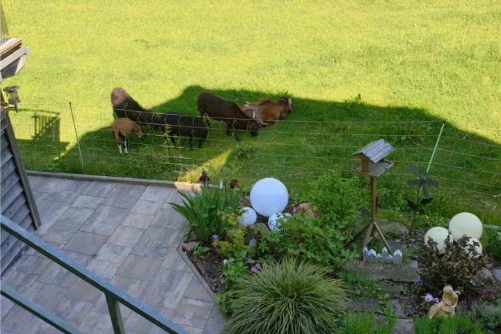 Blick von Terrasse