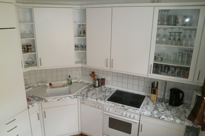 gut ausgestattete Küche mit Geschirrspüler, Herd und Backofen
