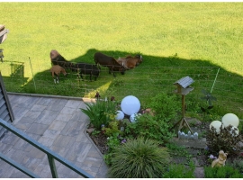 Blick von Terrasse