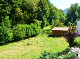 Blick zum Weiher in die Natur