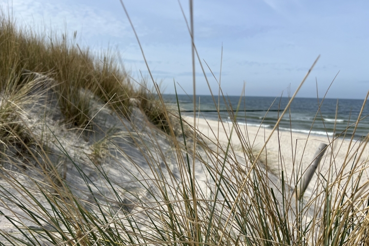 Der feinsandige Ostseestrand von Graal-Müritz.