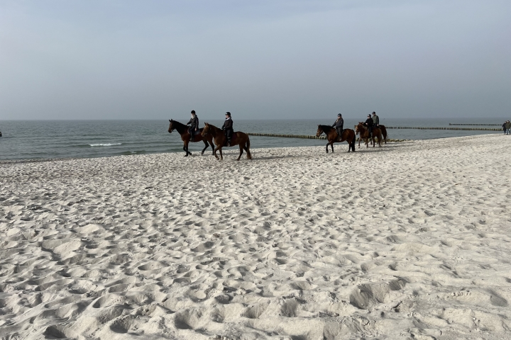 Reiten am Strand in unmittelbarer Nähe möglich.