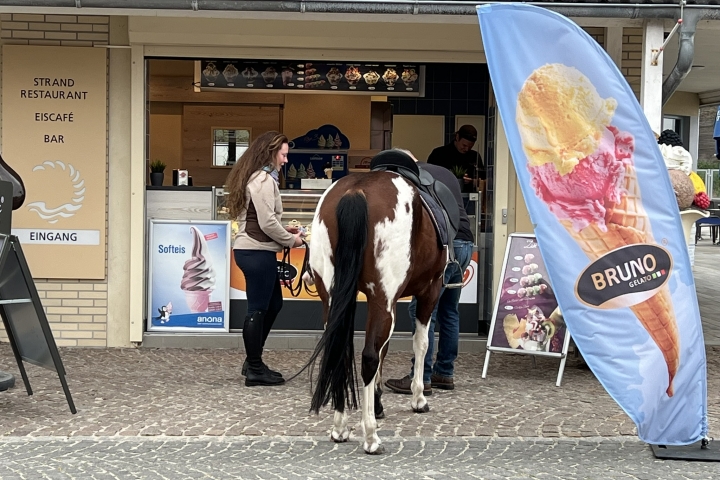 ....Eislecken für Pferd und Reiter :-)