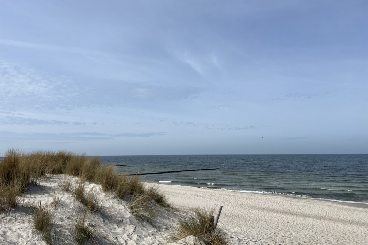 Dünenlandschaft Graal-Müritz.
